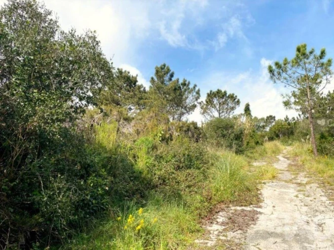 Terreno para Venda em Queluz e Belas Foto 7