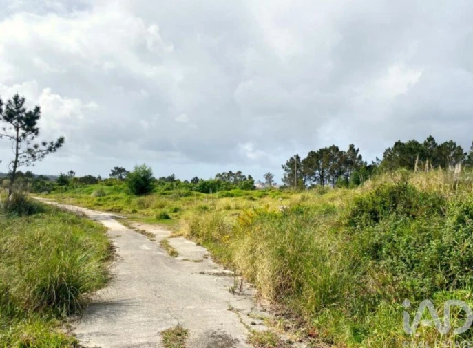 Terreno para Venda em Queluz e Belas Foto 13