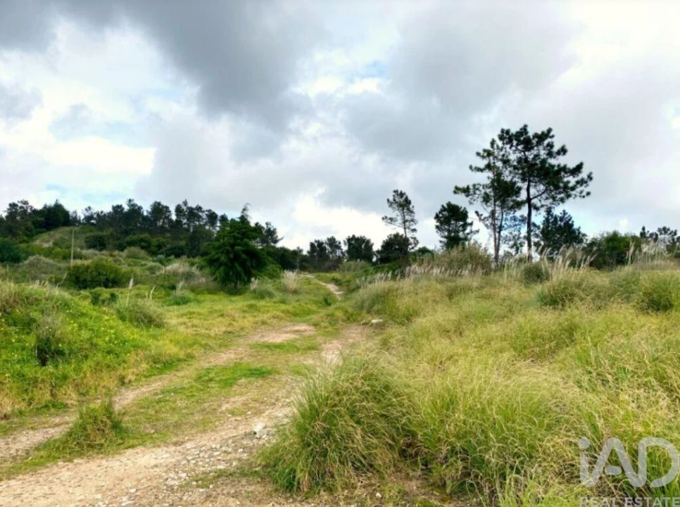 Terreno para Venda em Queluz e Belas Foto 10