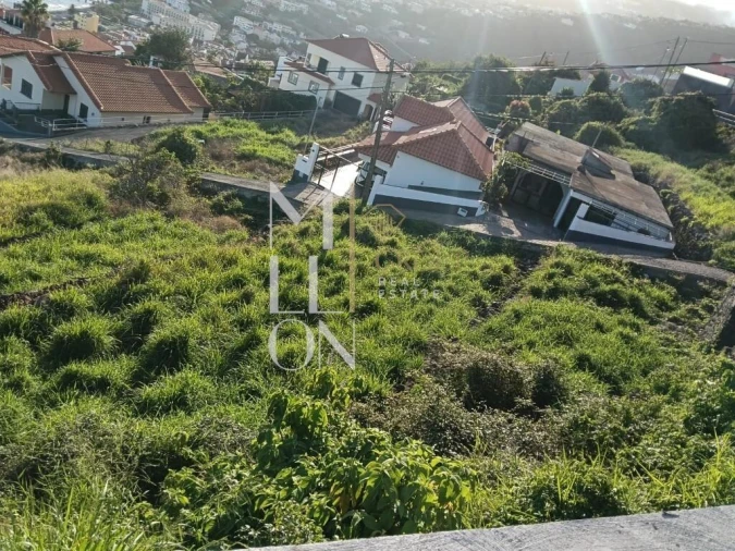 Terreno para Venda em Santa Cruz Foto 8