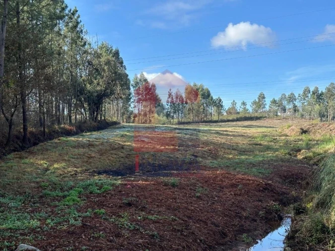 Terreno para Venda em Oleiros Foto 3