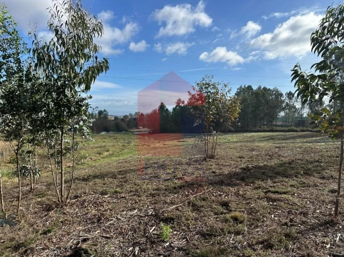 Terreno para Venda em Oleiros Foto 19