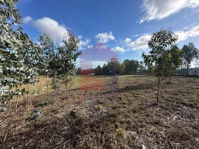 Terreno para Venda em Oleiros Foto 18