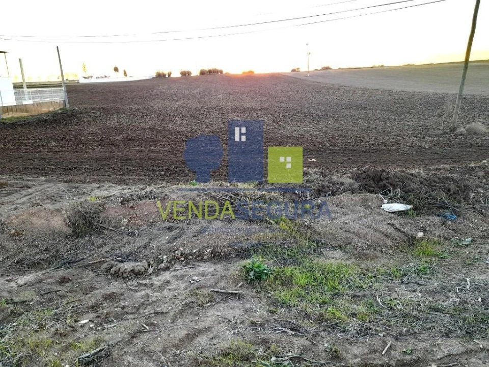 Terreno para Venda em Alfundão e Peroguarda Foto 6