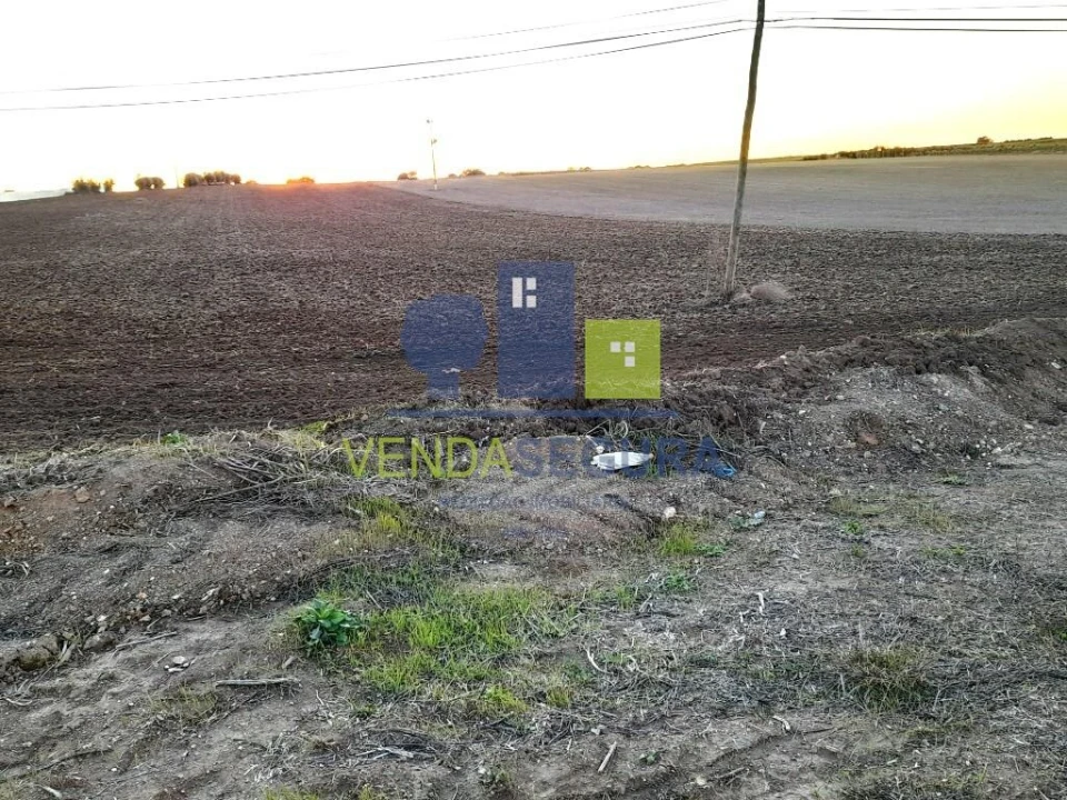 Terreno para Venda em Alfundão e Peroguarda Foto 5