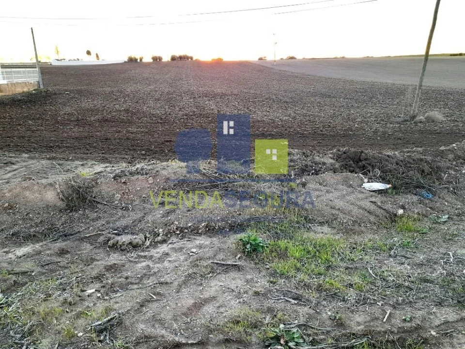 Terreno para Venda em Alfundão e Peroguarda Foto 2