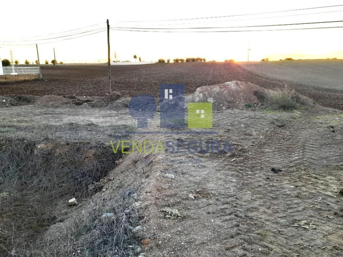 Terreno para Venda em Alfundão e Peroguarda Foto 7