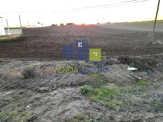 Terreno para Venda em Alfundão e Peroguarda Foto 6