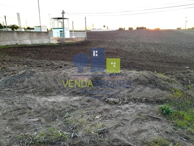 Terreno para Venda em Alfundão e Peroguarda Foto 3