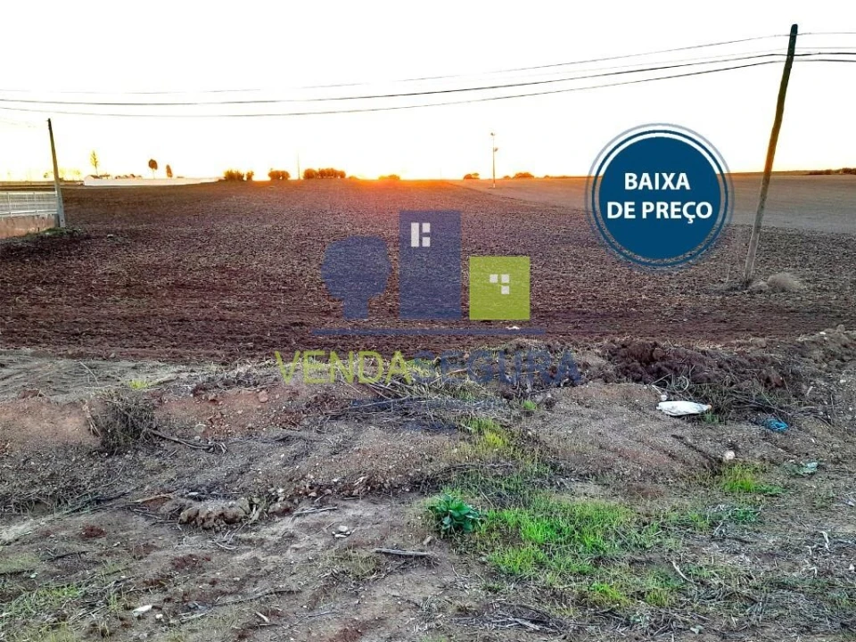 Terreno para Venda em Alfundão e Peroguarda Foto 1