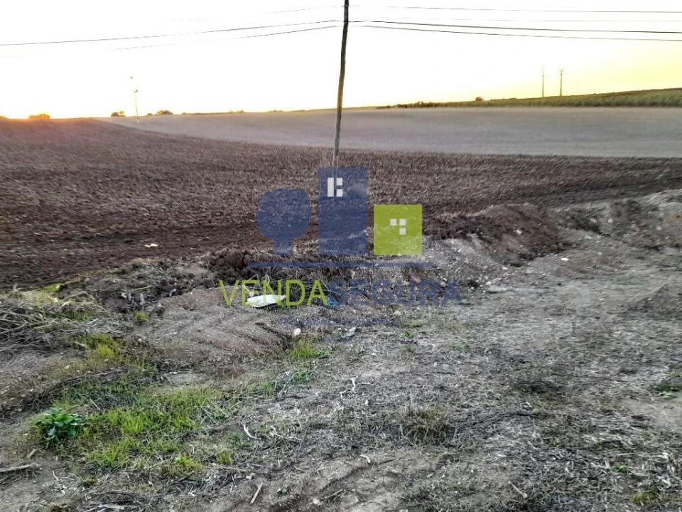 Terreno para Venda em Alfundão e Peroguarda Foto 4