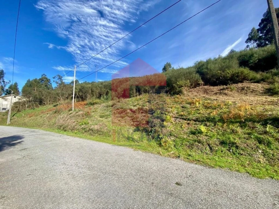 Terreno para Venda em Pico de Regalados, Gondiães e Mós Foto 22