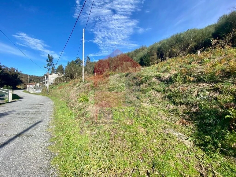 Terreno para Venda em Pico de Regalados, Gondiães e Mós Foto 15