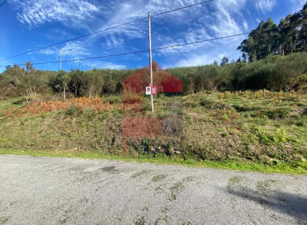 Terreno para Venda em Pico de Regalados, Gondiães e Mós Foto 21