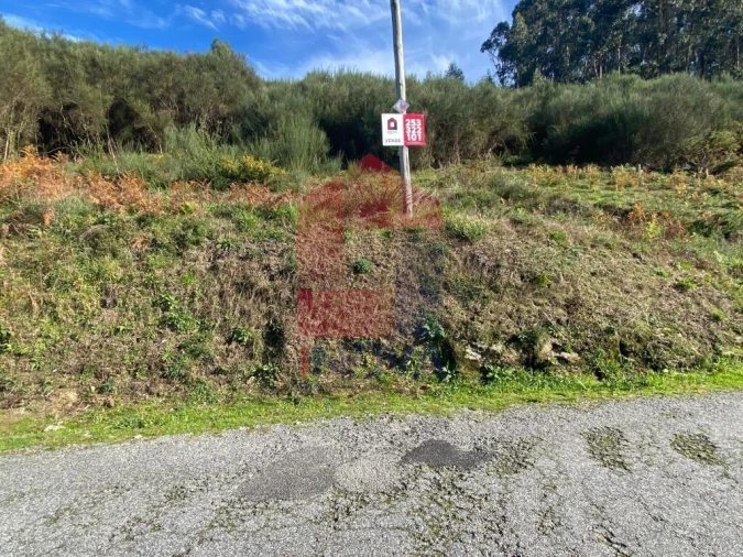 Terreno para Venda em Pico de Regalados, Gondiães e Mós Foto 19