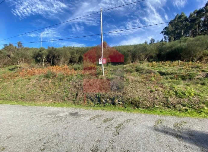Terreno para Venda em Pico de Regalados, Gondiães e Mós Foto 21