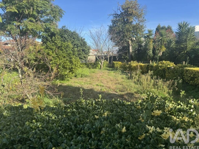 Negócio para Venda em Aguas Santas Foto 2