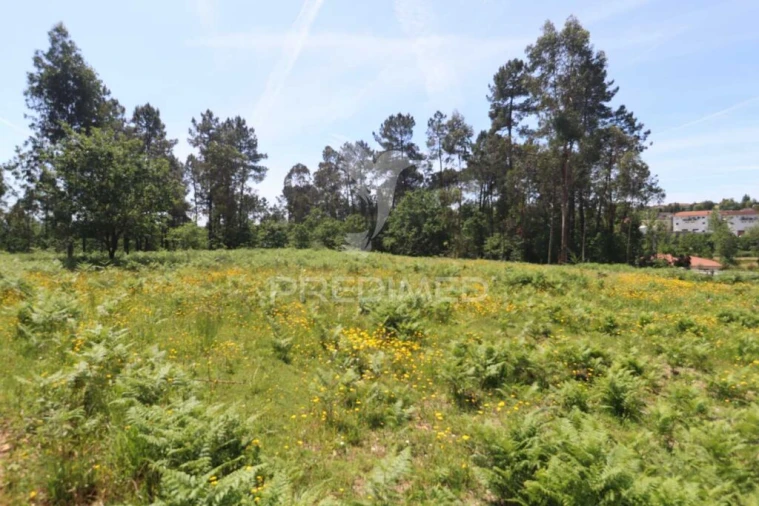 Terreno para Venda em Vila Verde e Barbudo Foto 10