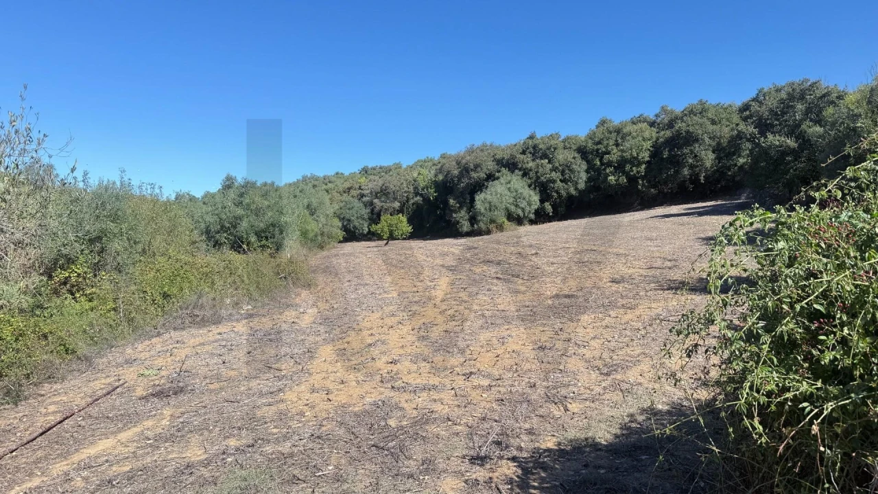 Terreno para Venda em Venda do Pinheiro e Santo Estêvão das Galés Foto 3
