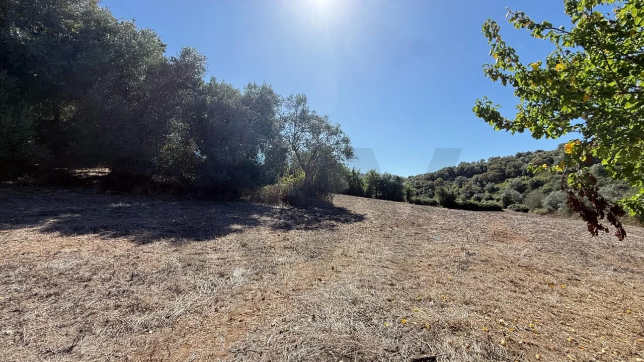 Terreno para Venda em Venda do Pinheiro e Santo Estêvão das Galés Foto 8