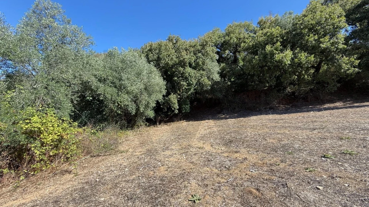 Terreno para Venda em Venda do Pinheiro e Santo Estêvão das Galés Foto 11