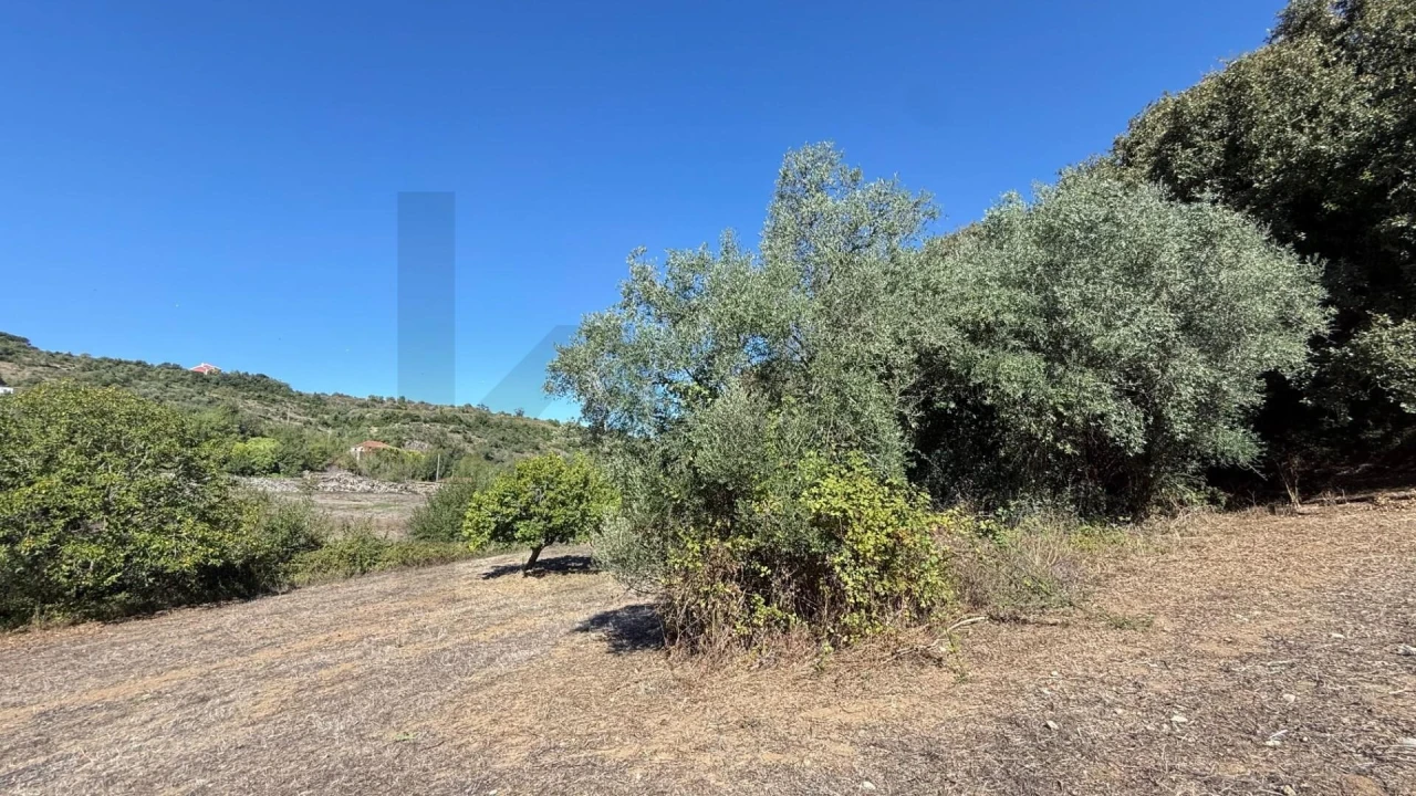 Terreno para Venda em Venda do Pinheiro e Santo Estêvão das Galés Foto 12