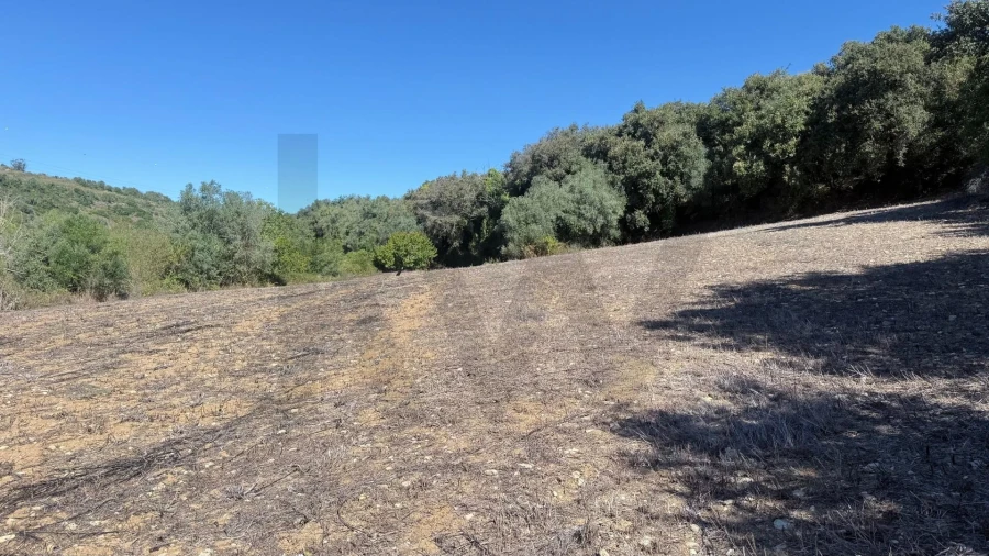 Terreno para Venda em Venda do Pinheiro e Santo Estêvão das Galés Foto 4
