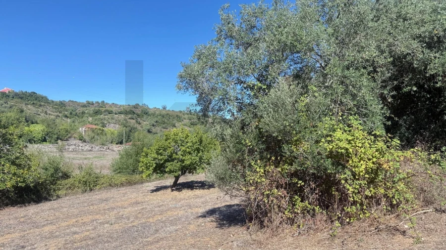 Terreno para Venda em Venda do Pinheiro e Santo Estêvão das Galés Foto 10