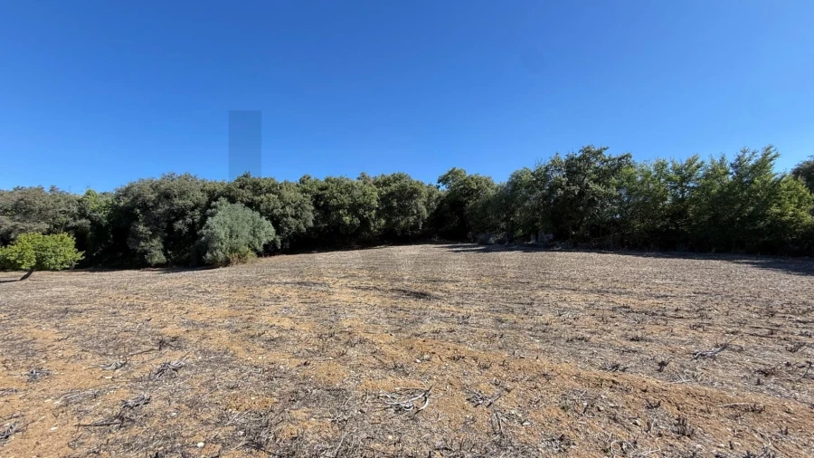 Terreno para Venda em Venda do Pinheiro e Santo Estêvão das Galés Foto 13