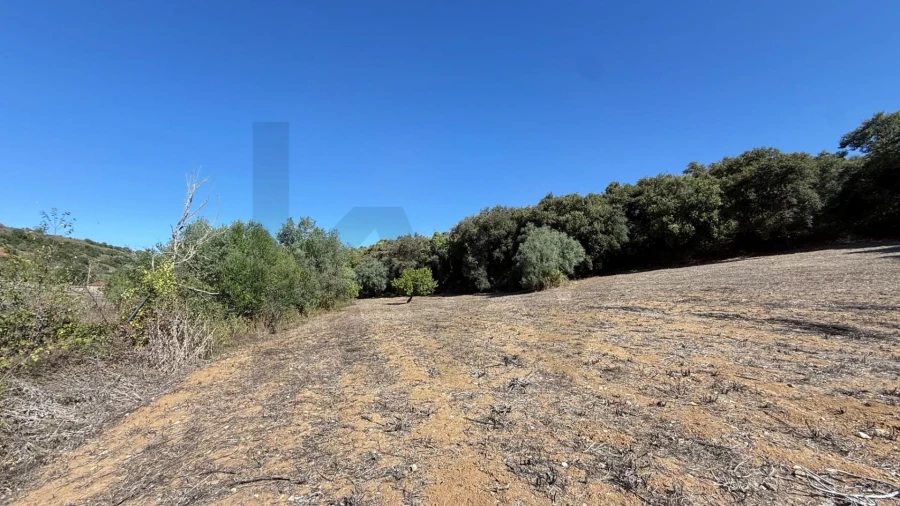 Terreno para Venda em Venda do Pinheiro e Santo Estêvão das Galés Foto 14