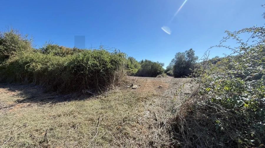Terreno para Venda em Venda do Pinheiro e Santo Estêvão das Galés Foto 15