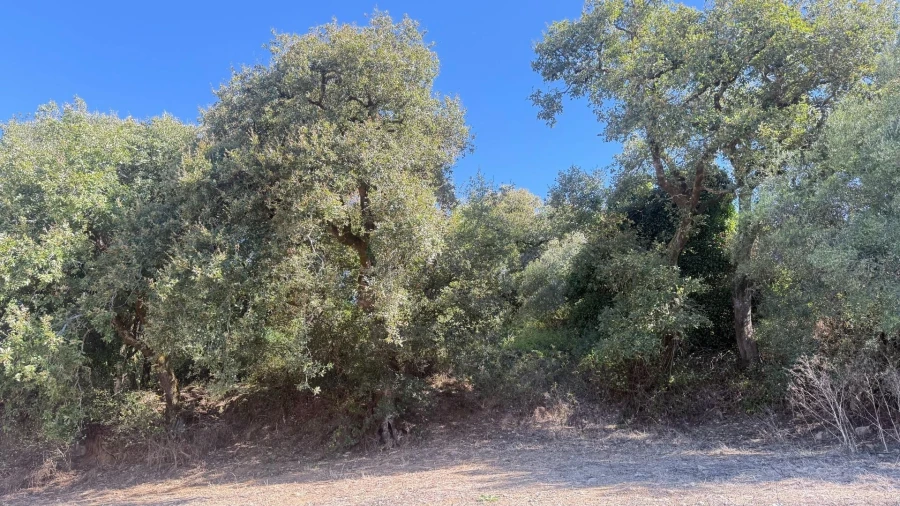 Terreno para Venda em Venda do Pinheiro e Santo Estêvão das Galés Foto 7