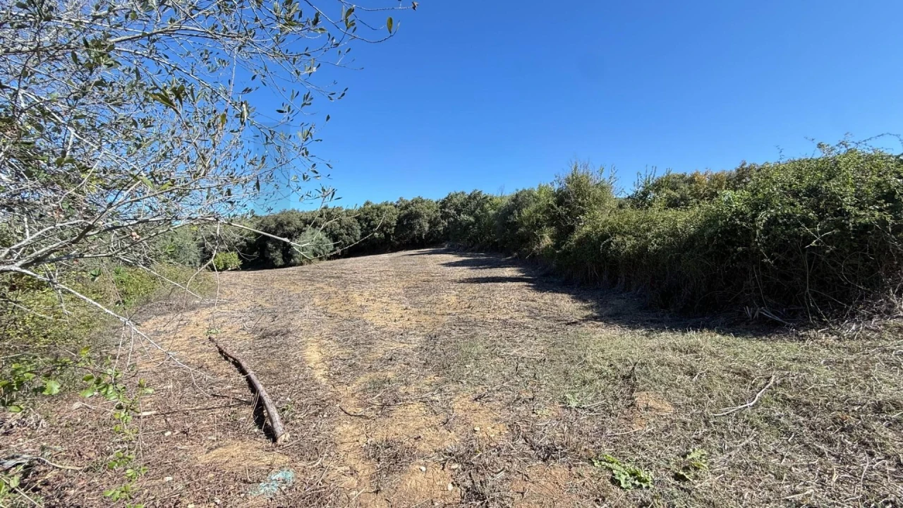 Terreno para Venda em Venda do Pinheiro e Santo Estêvão das Galés Foto 2