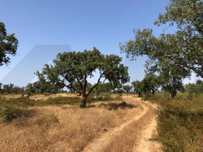 Terreno para Venda em Grândola e Santa Margarida da Serra Foto 1