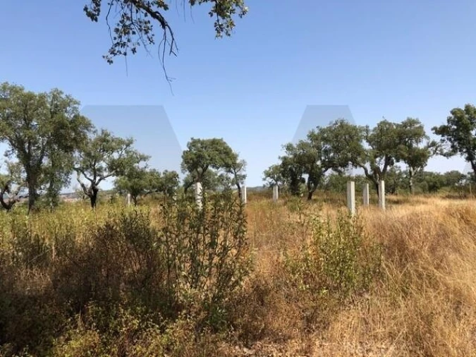 Terreno para Venda em Grândola e Santa Margarida da Serra Foto 2