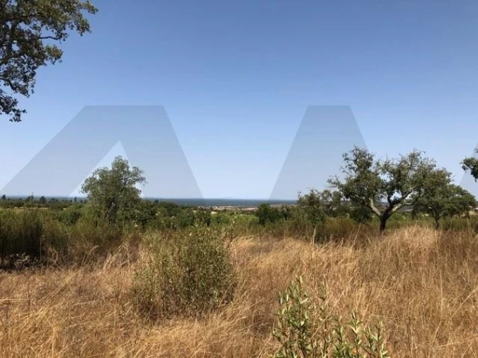Terreno para Venda em Grândola e Santa Margarida da Serra Foto 3