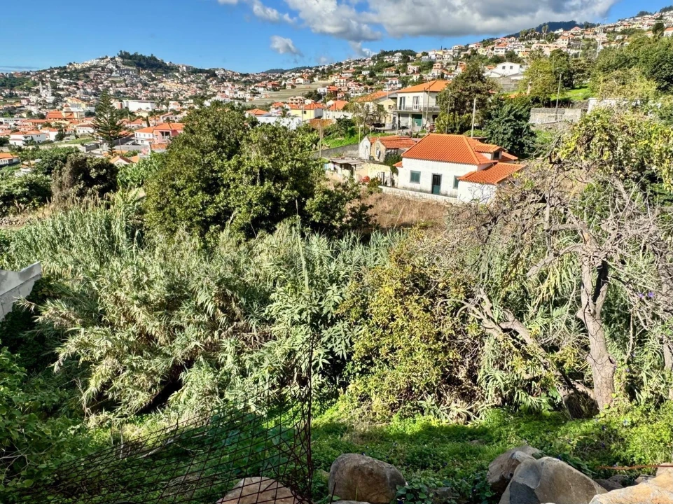 Moradia T3 para Venda em São Roque Foto 4