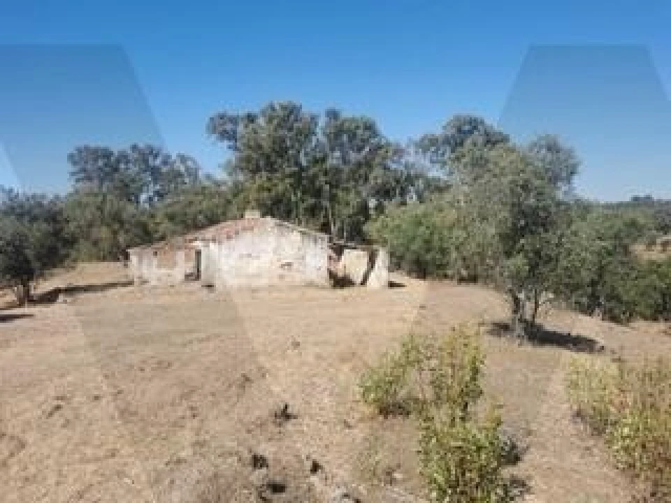 Quinta para Venda em Grândola e Santa Margarida da Serra Foto 12