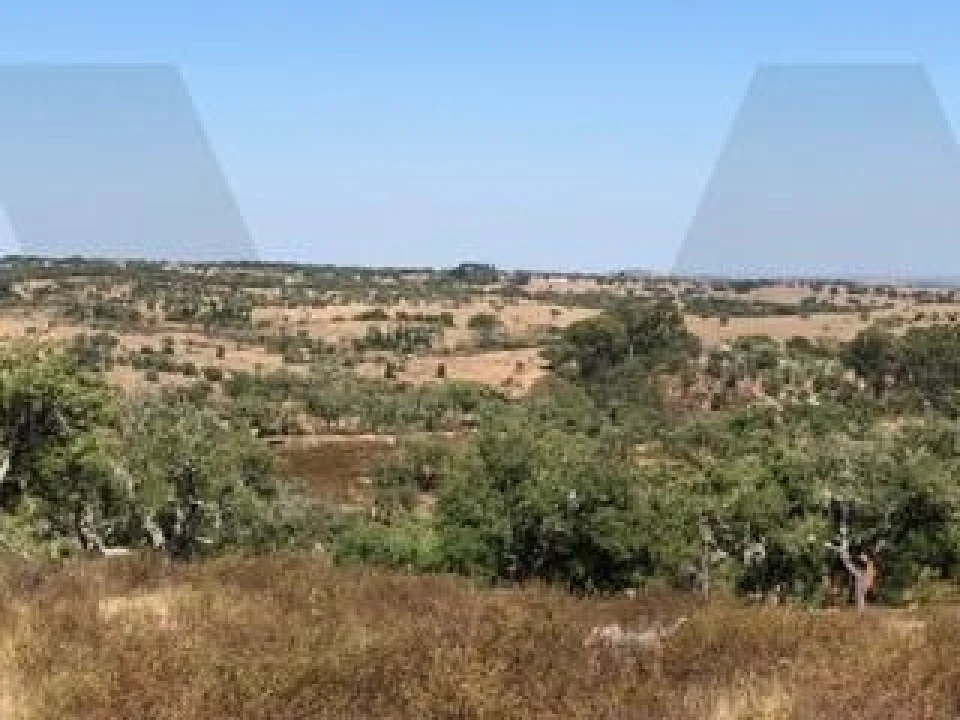 Quinta para Venda em Grândola e Santa Margarida da Serra Foto 9