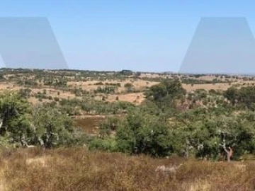 Quinta para Venda em Grândola e Santa Margarida da Serra
