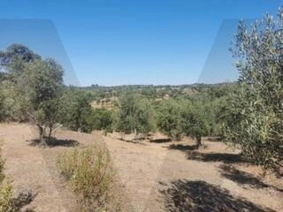 Quinta para Venda em Grândola e Santa Margarida da Serra Foto 14