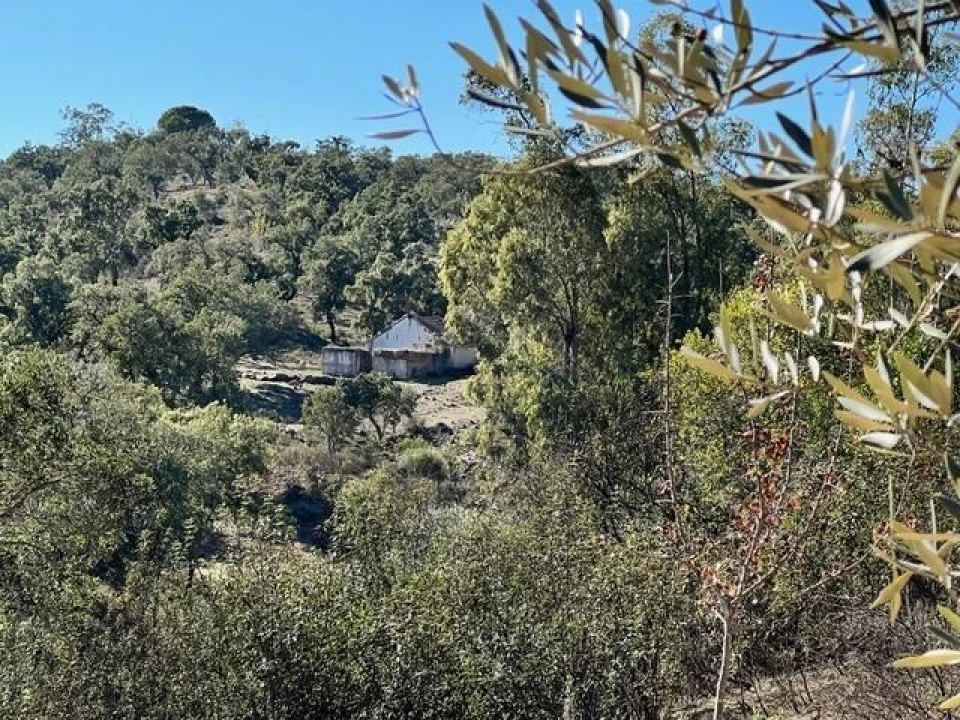 Quinta para Venda em Grândola e Santa Margarida da Serra Foto 8