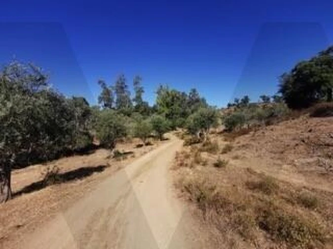 Quinta para Venda em Grândola e Santa Margarida da Serra Foto 17