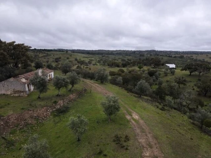 Quinta para Venda em Grândola e Santa Margarida da Serra Foto 2