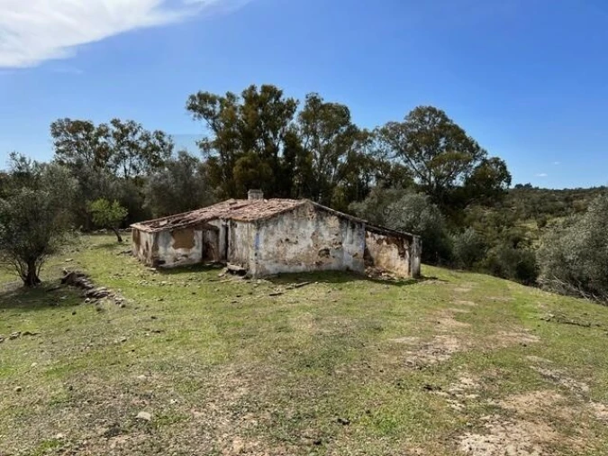 Quinta para Venda em Grândola e Santa Margarida da Serra Foto 12