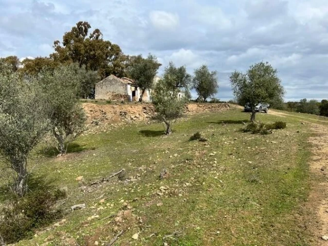Quinta para Venda em Grândola e Santa Margarida da Serra Foto 10