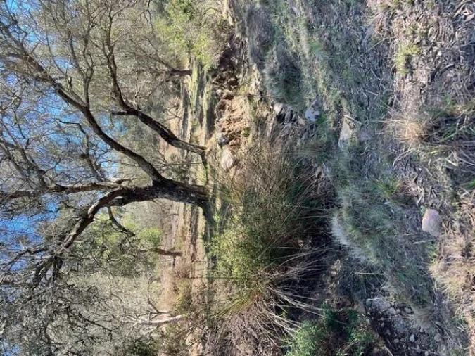 Quinta para Venda em Grândola e Santa Margarida da Serra Foto 7
