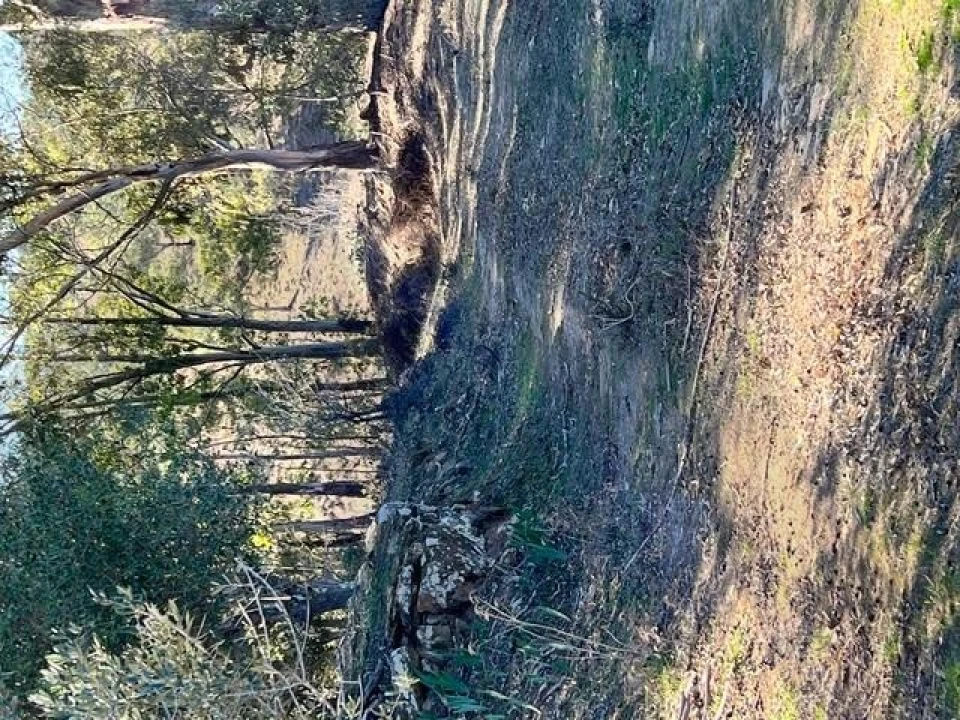 Quinta para Venda em Grândola e Santa Margarida da Serra Foto 9