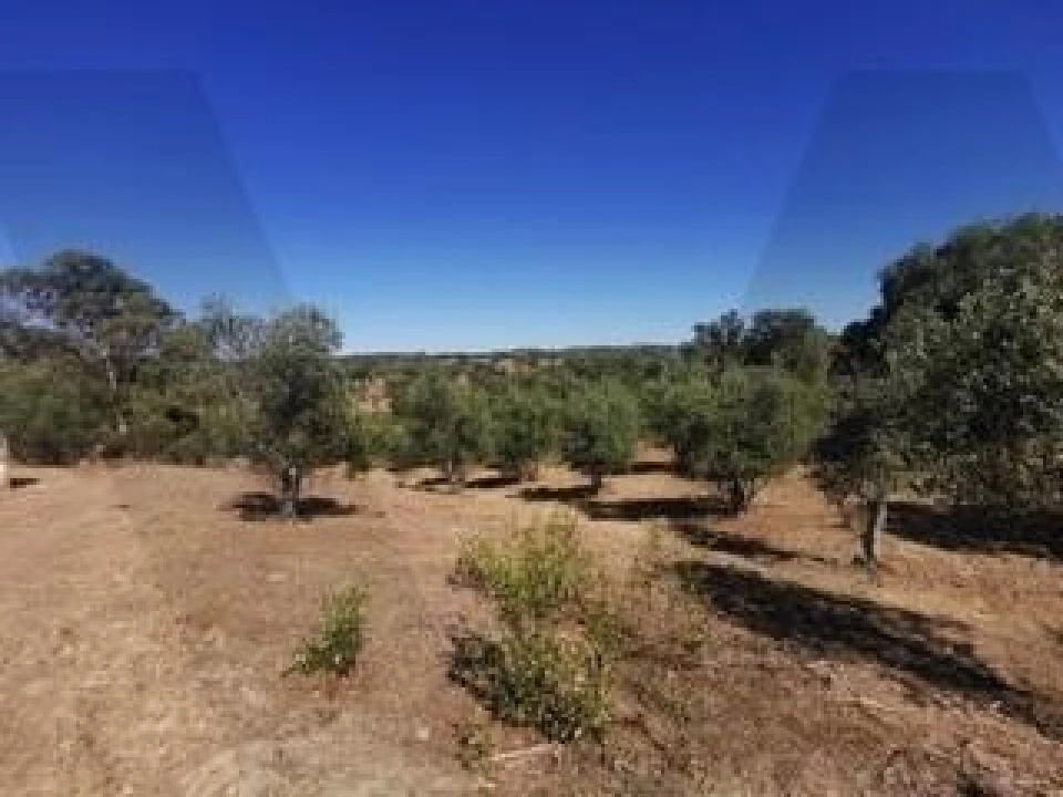 Quinta para Venda em Grândola e Santa Margarida da Serra Foto 15