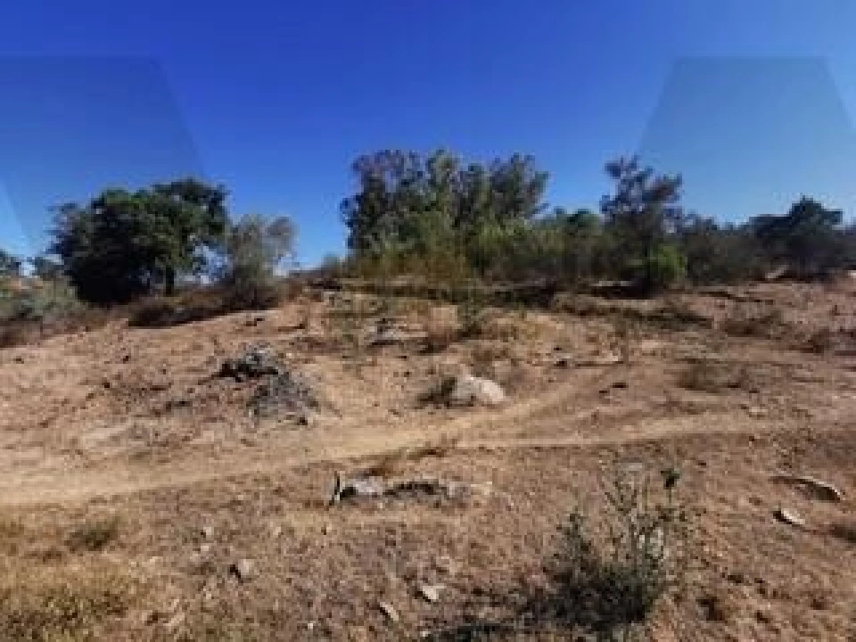 Quinta para Venda em Grândola e Santa Margarida da Serra Foto 13